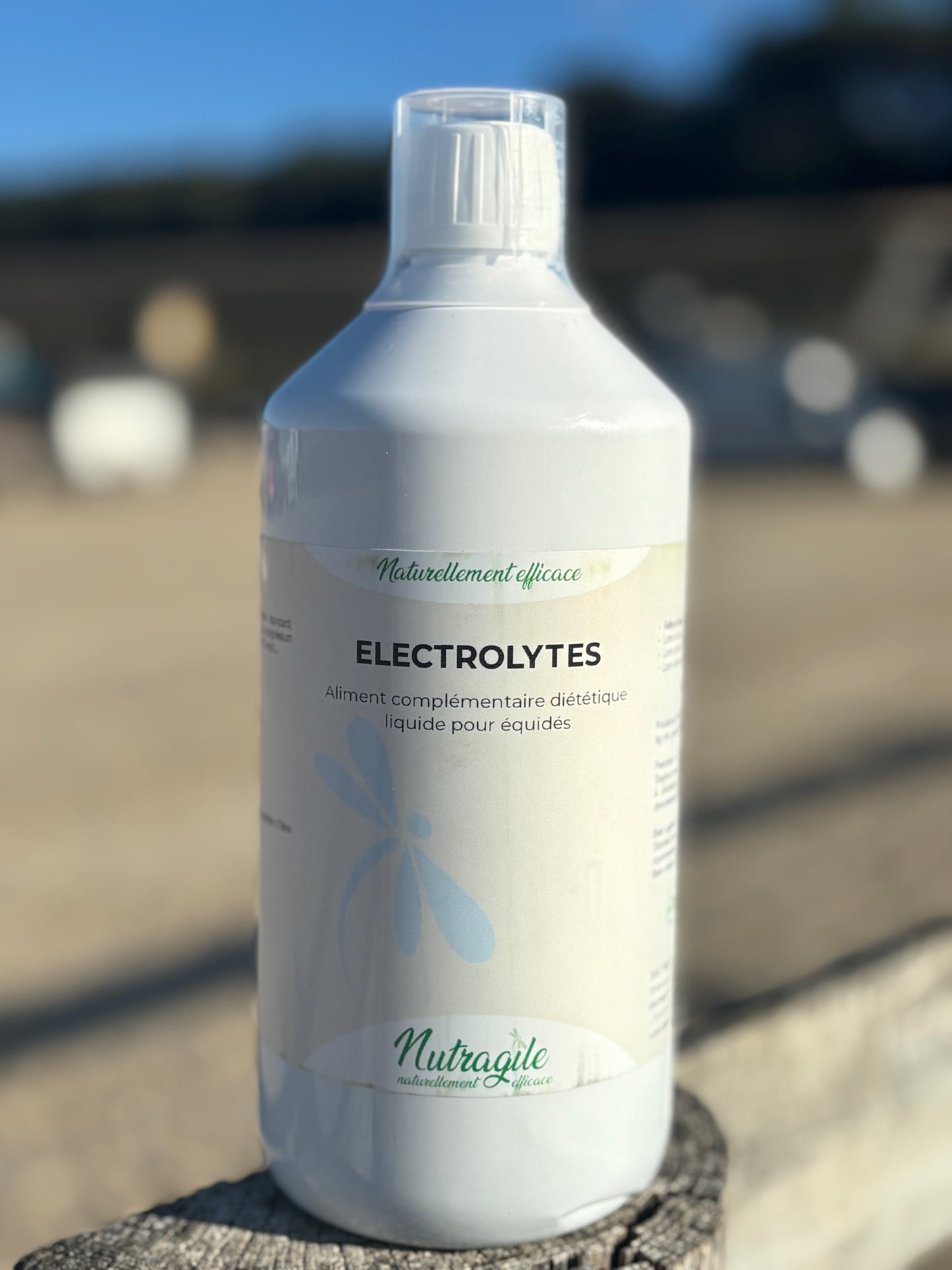 ELECTROLYTES Liquide | NUTRAGILE