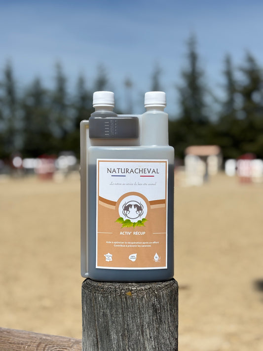 ACTIV'RECUP