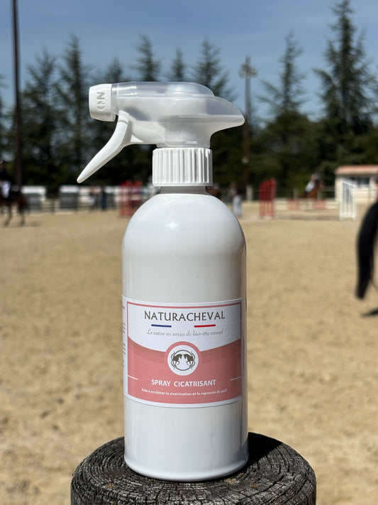 Spray cicatrisant