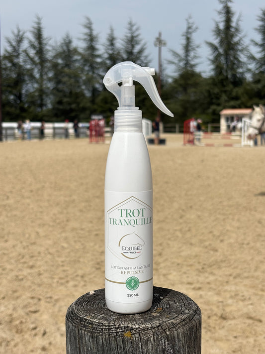 Trot Tranquille