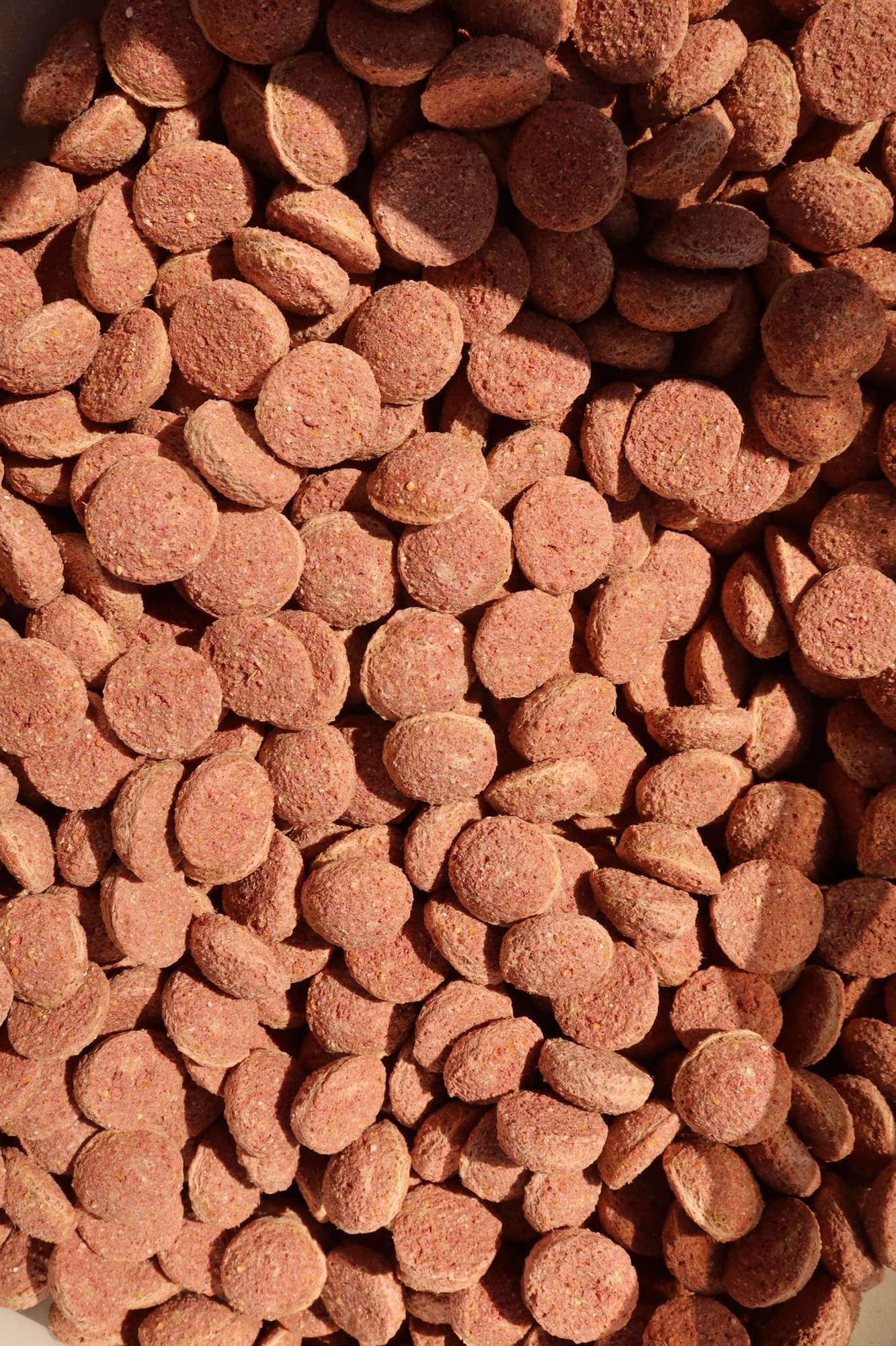 Friandises HDCP